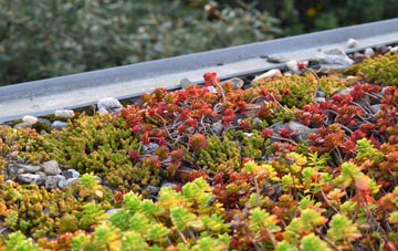 the cost of Crew Lower green roof installation