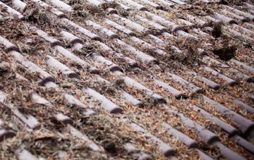 Crew Lower roof cleaning companies