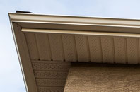 free Crew Lower fascia quotes